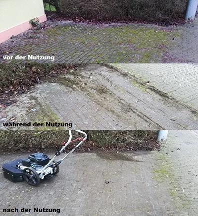 Wildkrautbürste